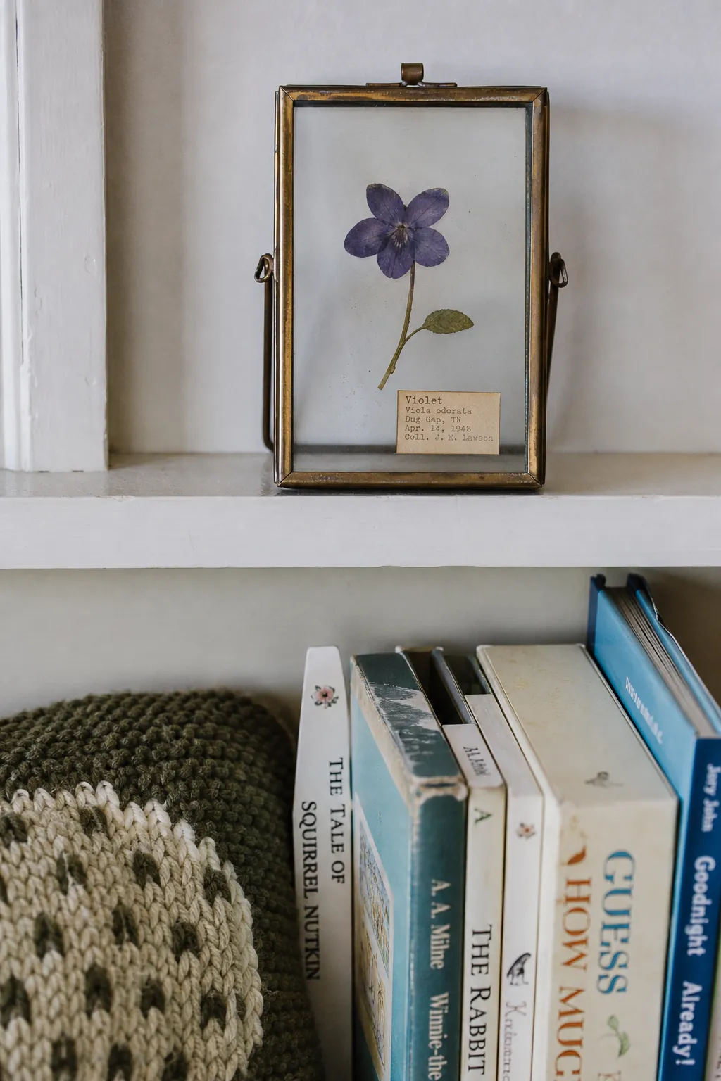Pressed birth flower floating frame on a nursery shelf