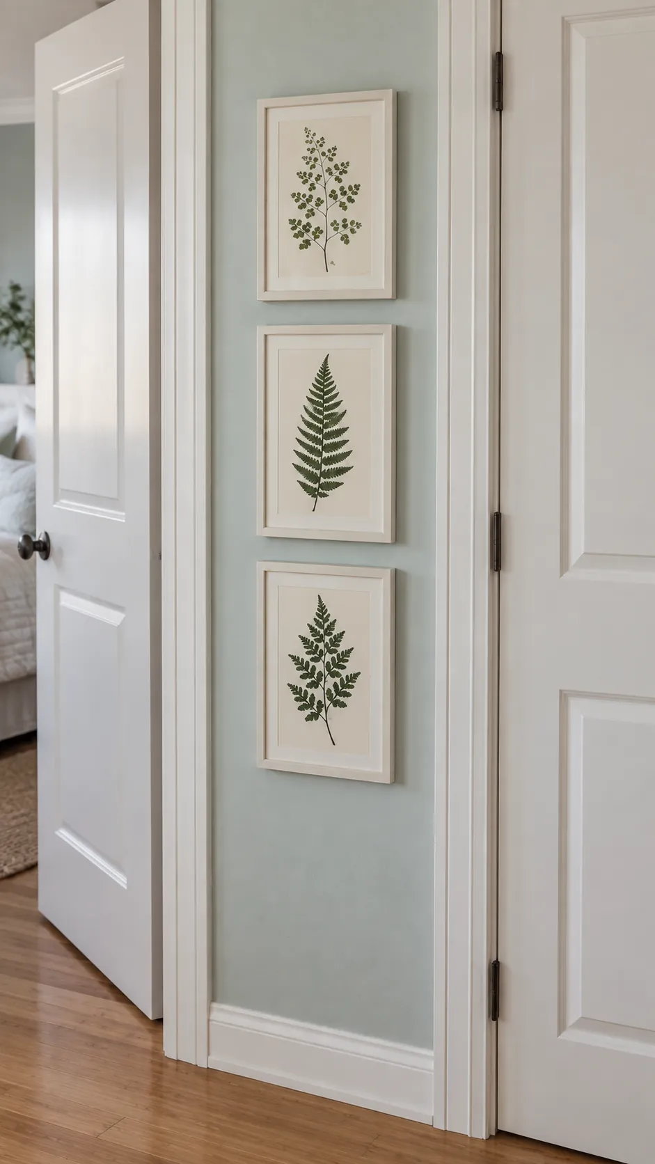 A set of pressed fern studies