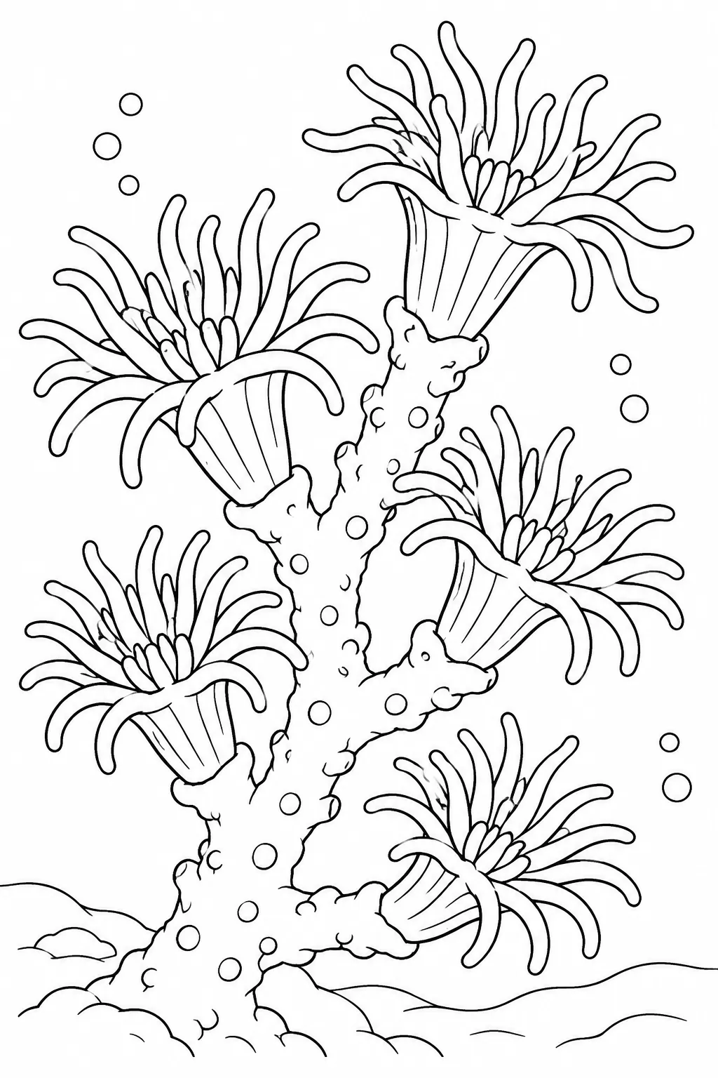 Ocean animal coloring page showing coral polyps on a branch