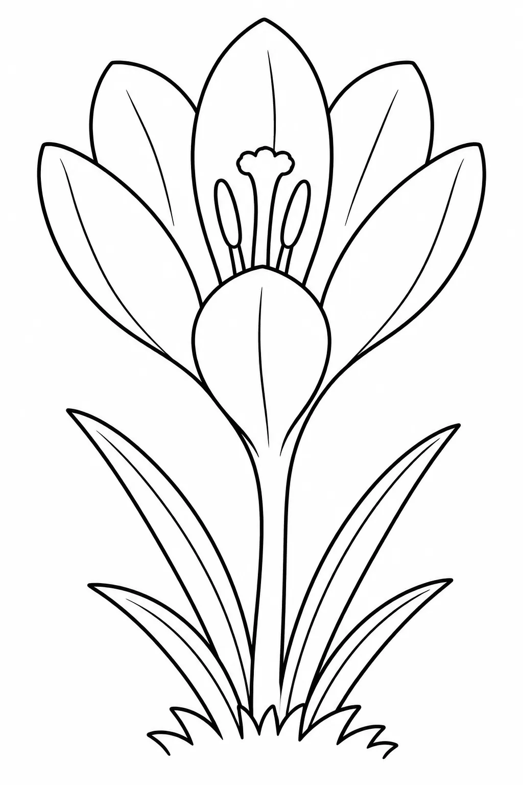 Crocus Cup printable spring flower coloring page for kids